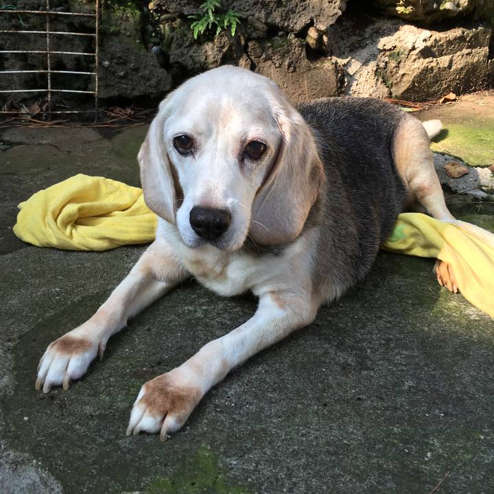 0da203ce 46b8 4a51 b7de 89744a7b009a 1509499320484