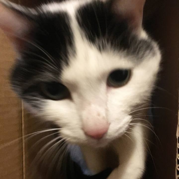 0da246be 529b 4920 8d59 2bda27767013 1581508824657