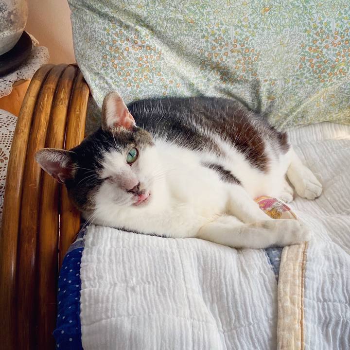 0da24f8a 9b2e 4454 a8ff d54871726e5c 1597713442950