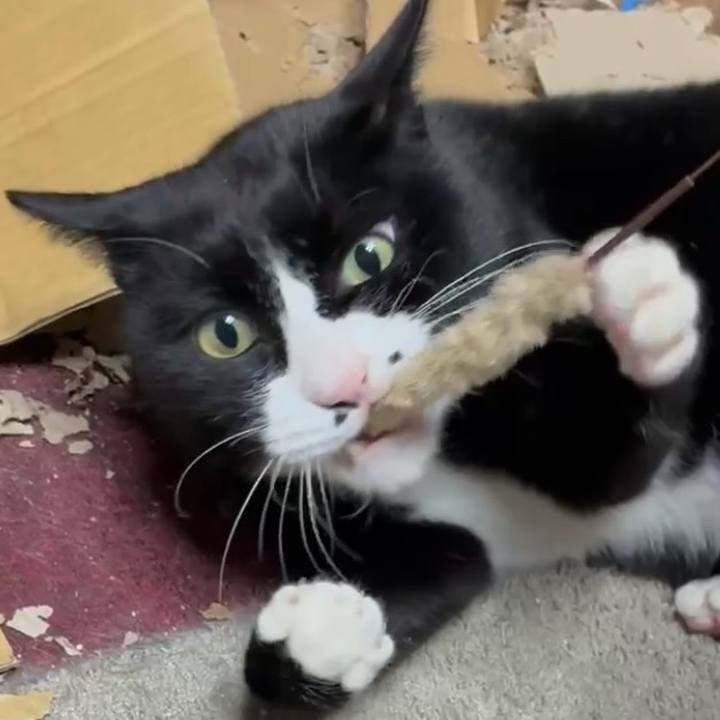 0da270a0 5b11 4a93 901a 1e9dc72051ed 1768138157858