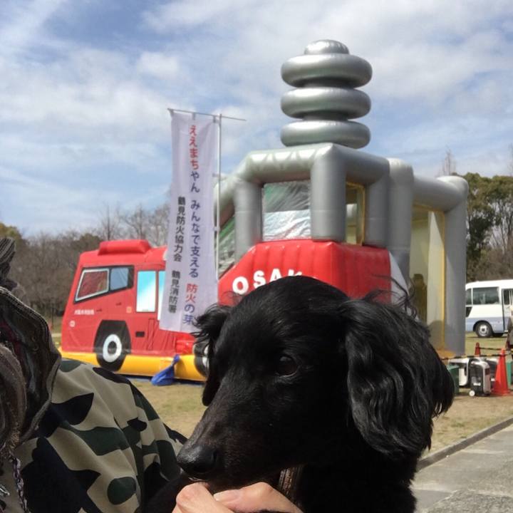 0da28f30 6bd3 436c a6d0 27797d36ed56 1521345284594