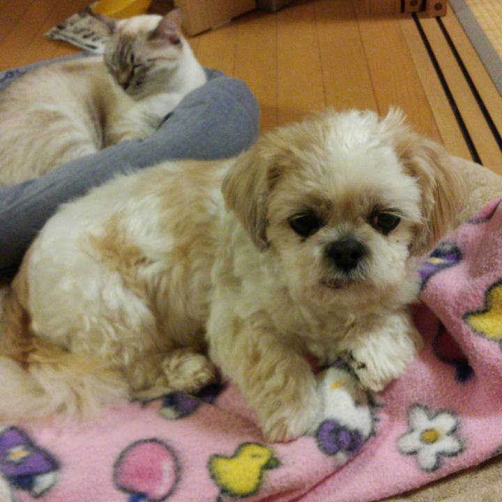 0da2ed67 2aae 4661 822f 3a744ffcc32f 1508419315879