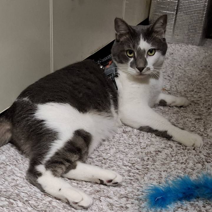 0da31aae e401 4494 9e78 59ec40026a5c 1751379741966