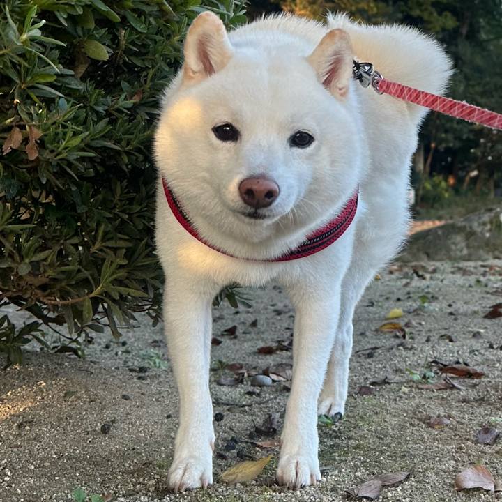 0da33ba7 dbdd 4290 9daf 15ea83ffd047 1760011504915