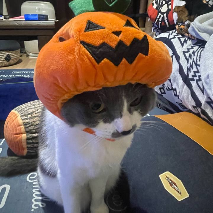 0da34e69 ef5d 4506 8930 b749e81eca14 1698739544549