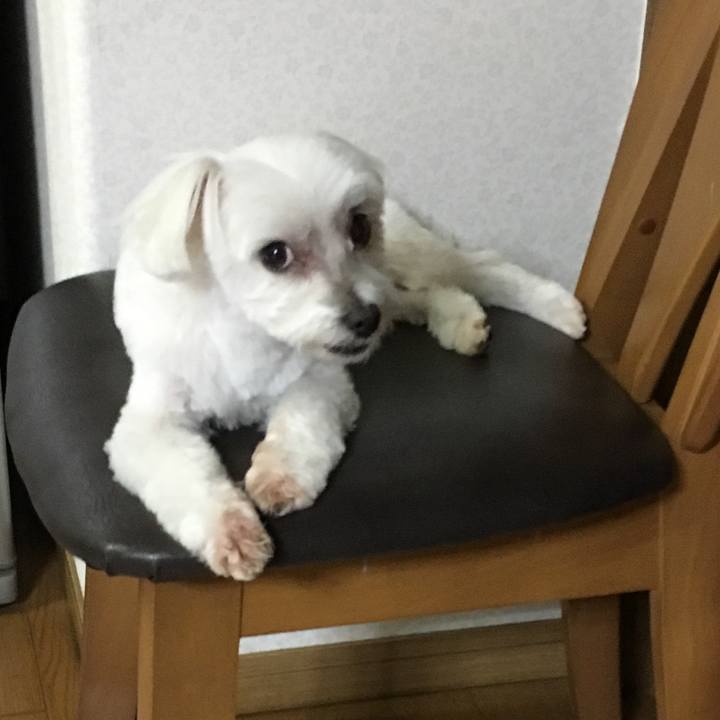 0da3676f 6cdf 4103 bce8 0e60d8c76a7e 1569060825702