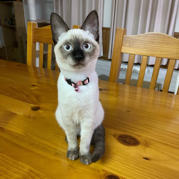 0da373e1 b2f3 4456 8743 5db9d20eab92 1694633604655