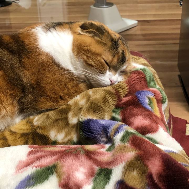 0da37ac0 ff74 4d31 be23 79977c2266cd 1607153628909