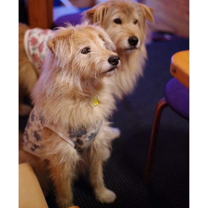 0da39fa1 0cb4 496c be6a 5f36a81b7b95 1556722910977