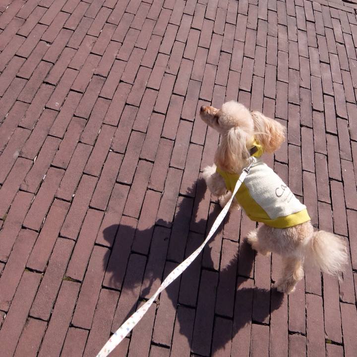 0da3b34c 8268 4f6a b450 e89b2b29f1aa 1519454316761