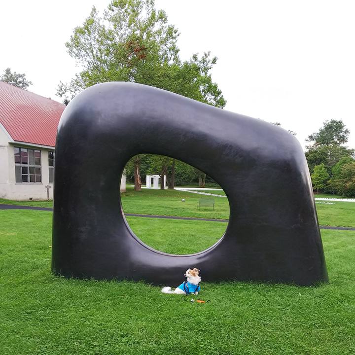 0da41761 c119 45ed 94ad 3ae7cb1b50d6 1537084812066