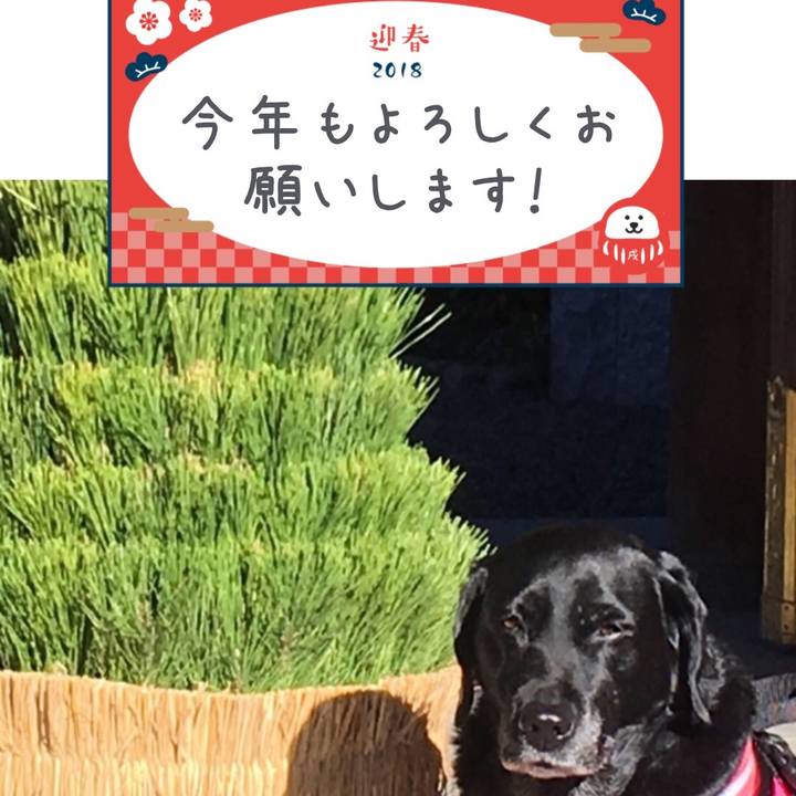 0da41e76 4090 4006 b7fc 0c252c29cde8 1515060844315