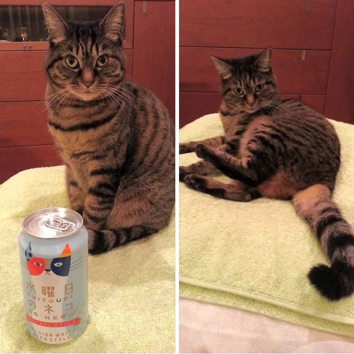 0da43921 a193 4650 9492 4a0d1d80fb6c 1773456602123