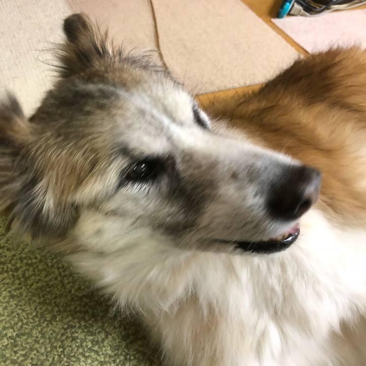 0da44f67 a5fd 4c11 ac10 387e72c7e1b4 1541998871293