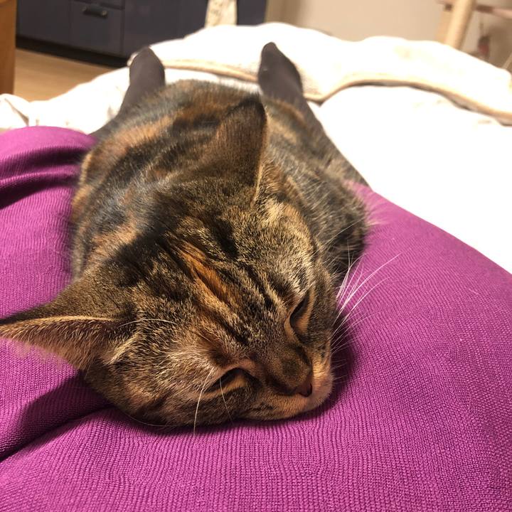 0da46e98 2d88 471b ba1a 190796330cfe 1622729080283