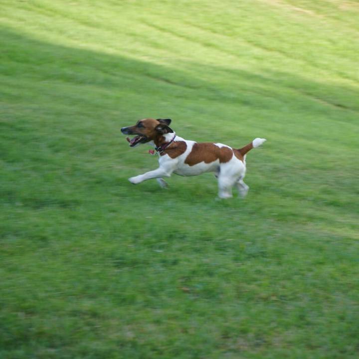 0da4fa62 74e1 411a 8f17 9c35f00ed981 1534548675548