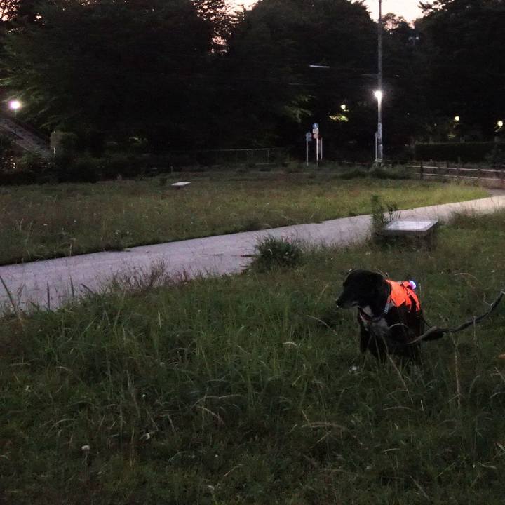 0da51826 cf9f 4555 be1e 26519ff42737 1750158508050