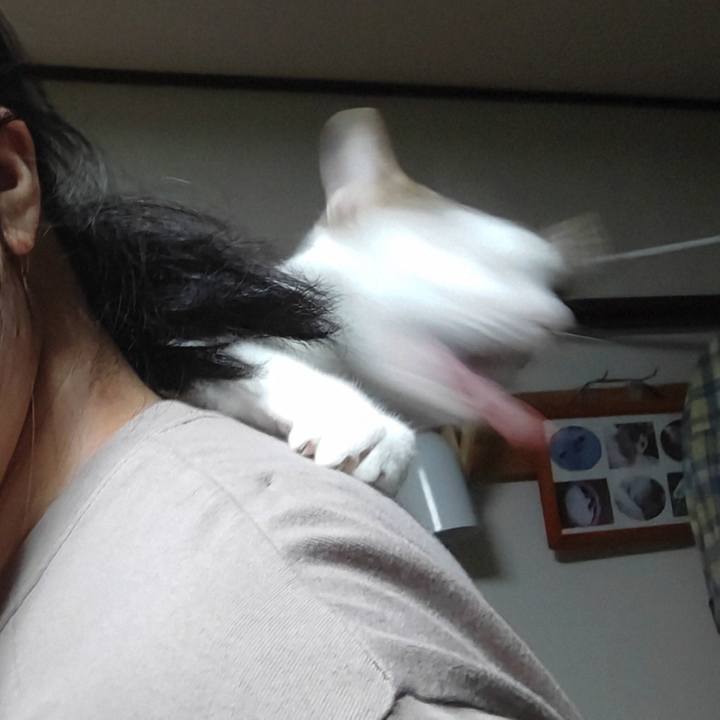 0da53a27 22e7 49c0 aa16 540a520a3d05 1726735488052