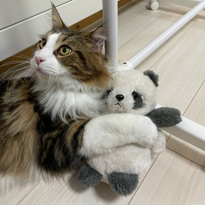 0da57e26 7e25 4b7e b310 6c4d08bc3c0a 1647206580008