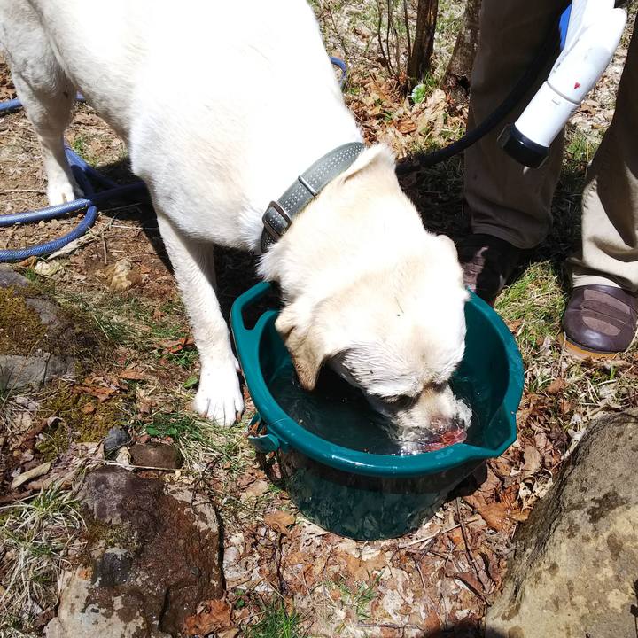 0da5dc16 fede 4161 b5c2 0685aae0f109 1525054718596