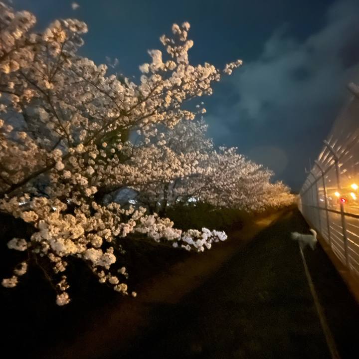 0da60288 005f 4226 9fd2 dfc97564fc57 1743251048605