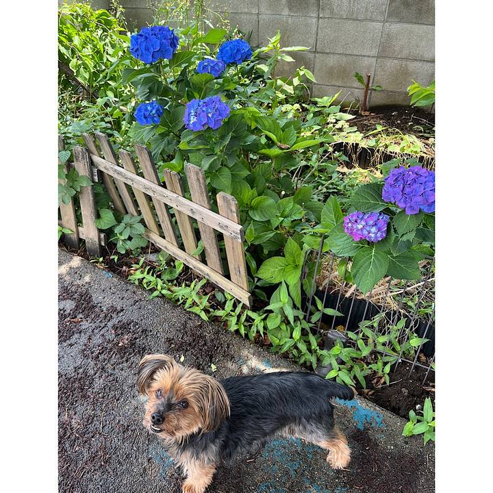 0da61b3c ff5b 48b1 a19f 6a82cd356a8e 1717300329477