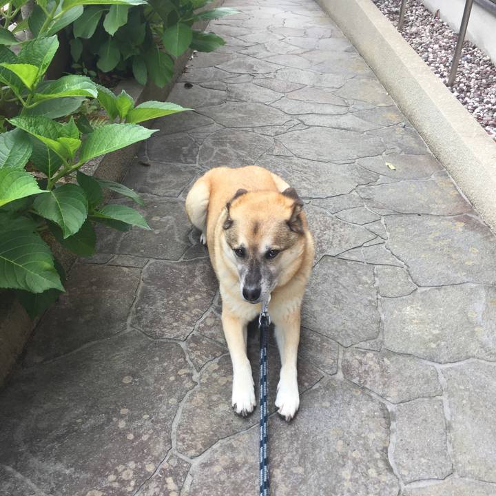 0da62961 036b 4ae9 b3ab a3ad34206d1a 1528864231362