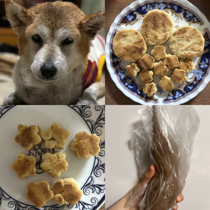 0da64e04 6f38 40c7 b6dd 7518b754b1c5 1762162139763