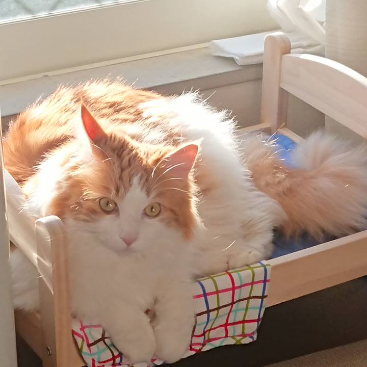 0da65d9a a901 4293 9a4f 2217057ca191 1548639172175