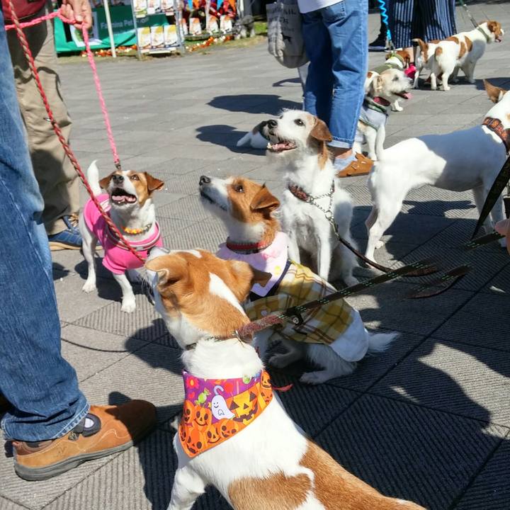 0da69bfb 6e55 4105 8470 f81d2b9e9fa6 1540118497851