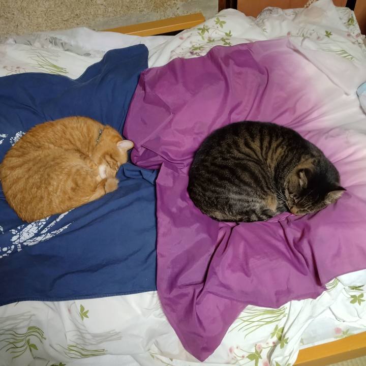 0da6df12 df42 450a ba6e c6f2336bca59 1701939854242