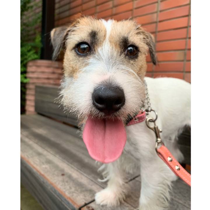 0da6ea2e de46 404d af63 e35bf5d46e9e 1598096160332