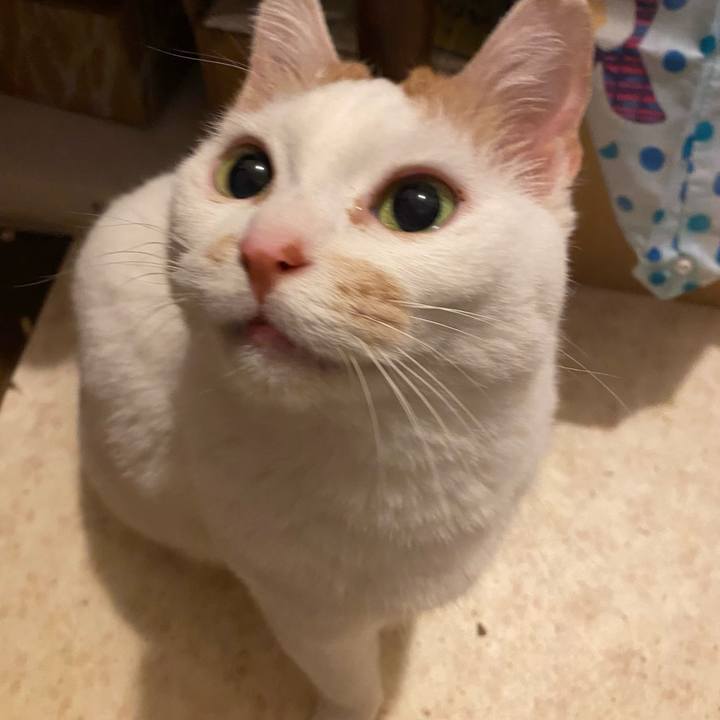 0da6ec74 1bfc 4250 a653 1e8d3bfa22fe 1723112425229