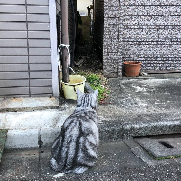 0da6fa04 afd0 4c5f a2f9 29978d52a306 1514584166270