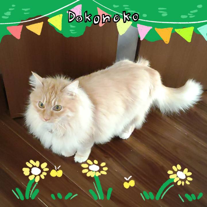 0da726bd f6e6 4169 98ec 379cbf27bfc8 1711059730237