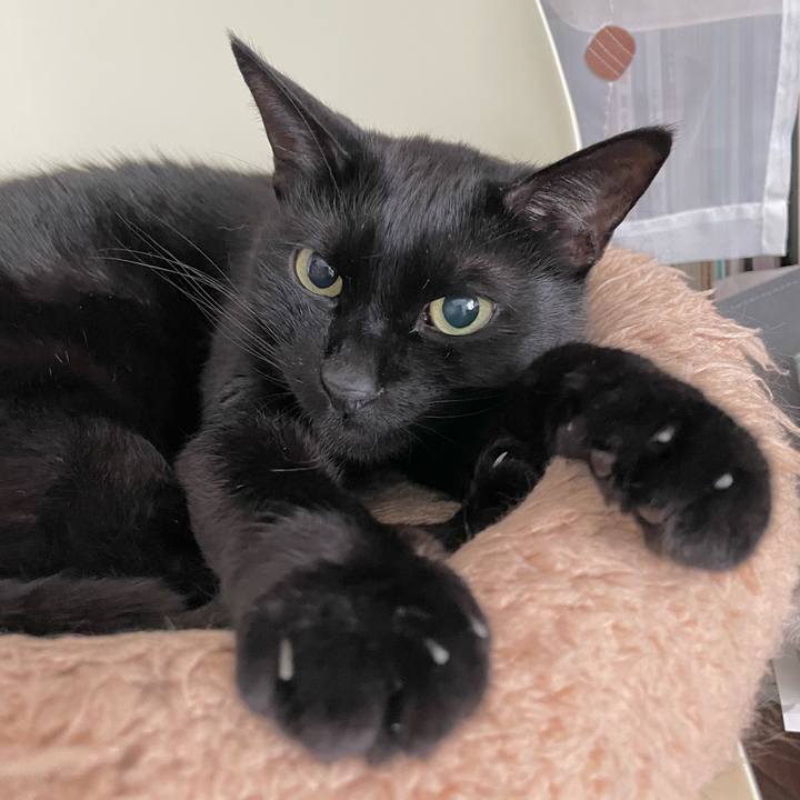 0da73458 9390 4e8e 9781 cf9be25abe4b 1652094932509