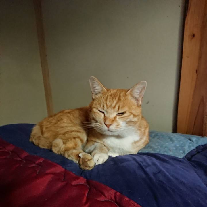 0da76263 7c65 4570 86a2 bf6be5b94442 1583359410260