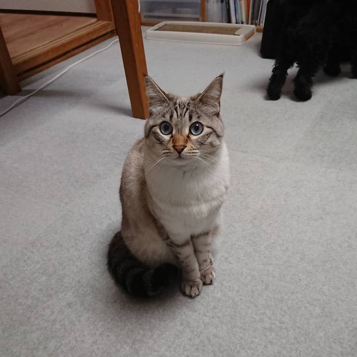 0da7878f 38e4 4cee 8342 568fdc505753 1551437068795