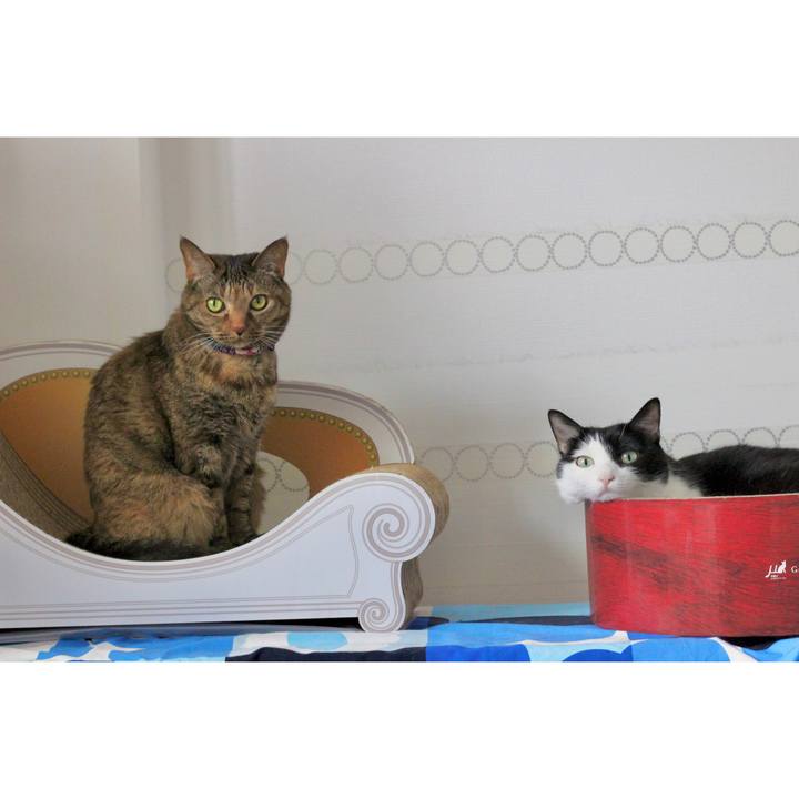 0da79902 3557 4251 9da3 e4dbcb038578 1623934624383