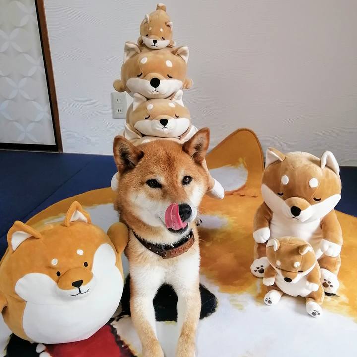 0da7eb43 6e0f 488f b97e a621f557ba61 1591076140705