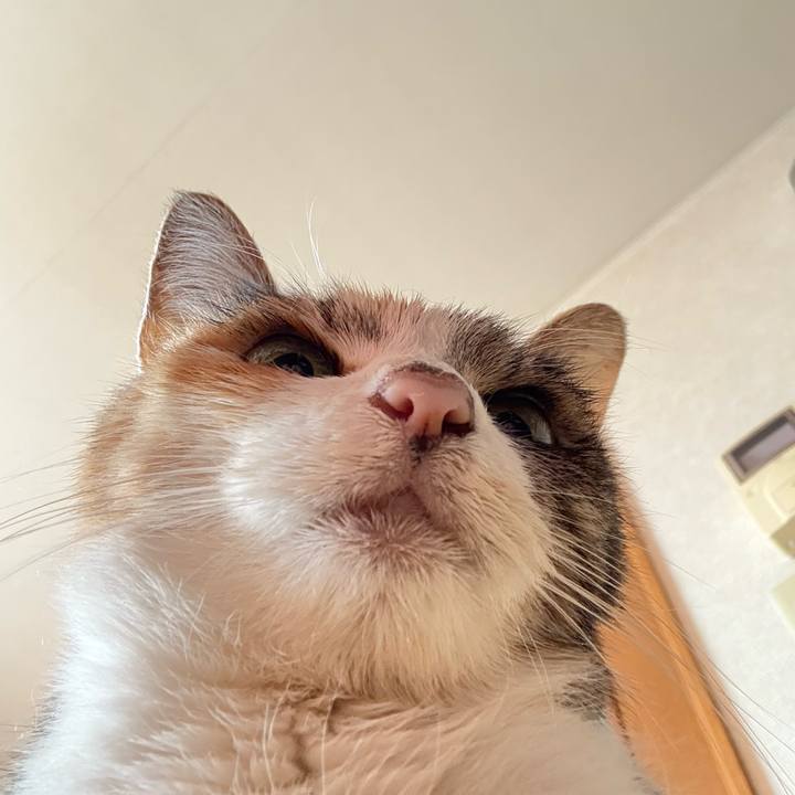 0da7fc39 3edf 4317 b7ee 5081517f1e4c 1767183374605