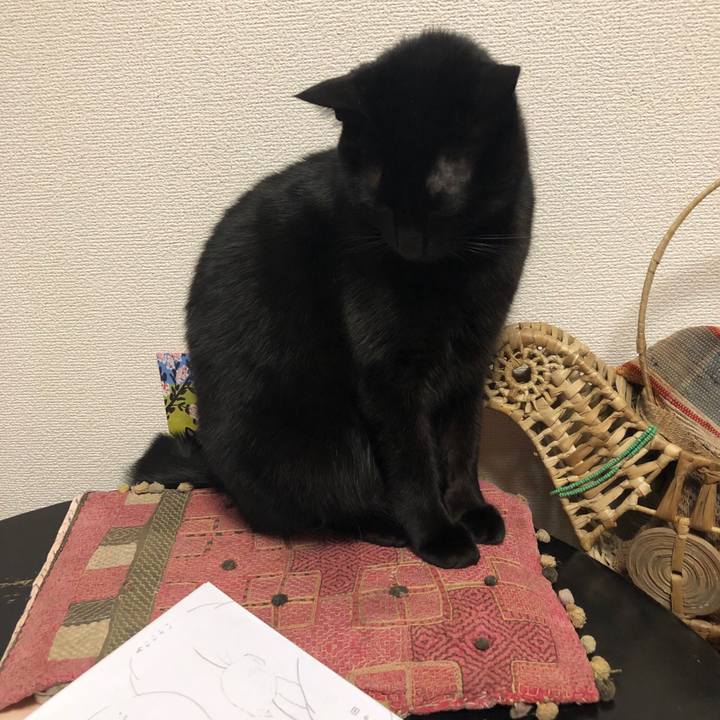 0da80395 b7e8 4796 bc8d 801ad50d8abc 1548796255485