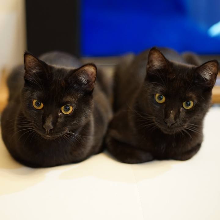 0da81cae ee8e 4faa ba51 08db96ba3823 1514123911971