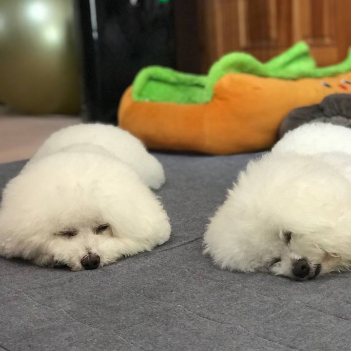 0da821ef 9010 4952 b43d c73e500503da 1589338807177