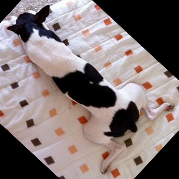 0da83486 10cc 43a9 a3c3 4b4fb2d12a5f 1686825230192