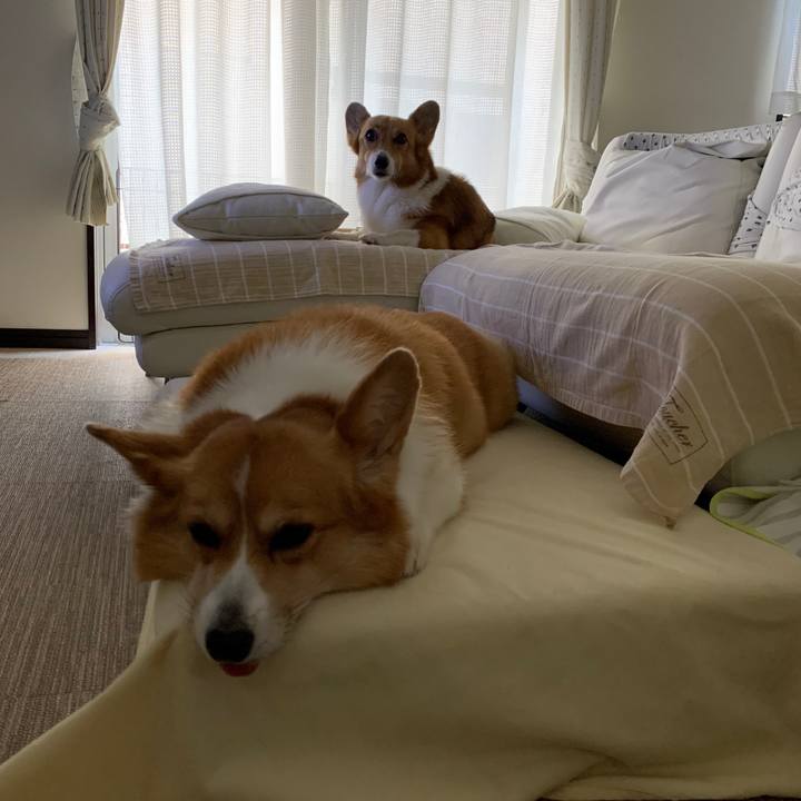 0da83c84 d923 47c3 b3b2 8d3ff9794da8 1596328195830