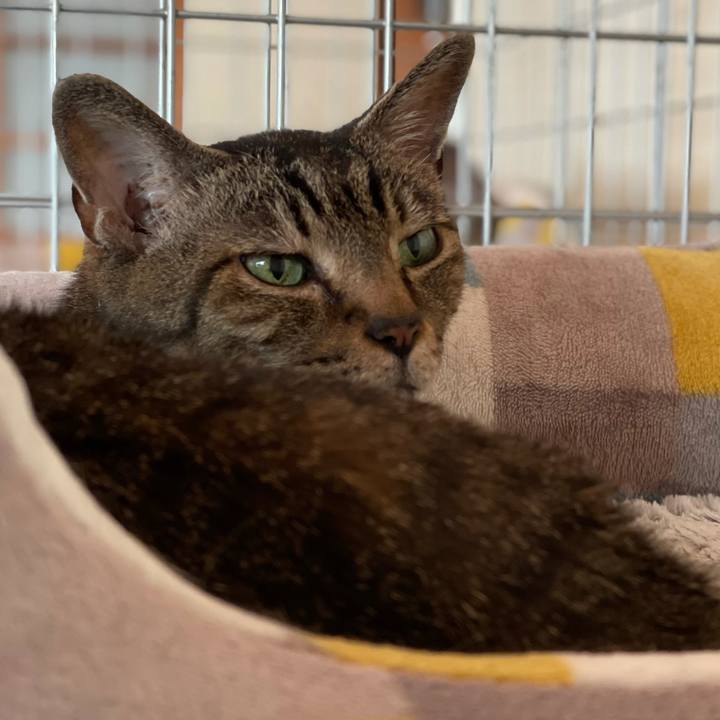 0da89609 0ebd 42c7 84d3 07f3ac01442d 1626224310577