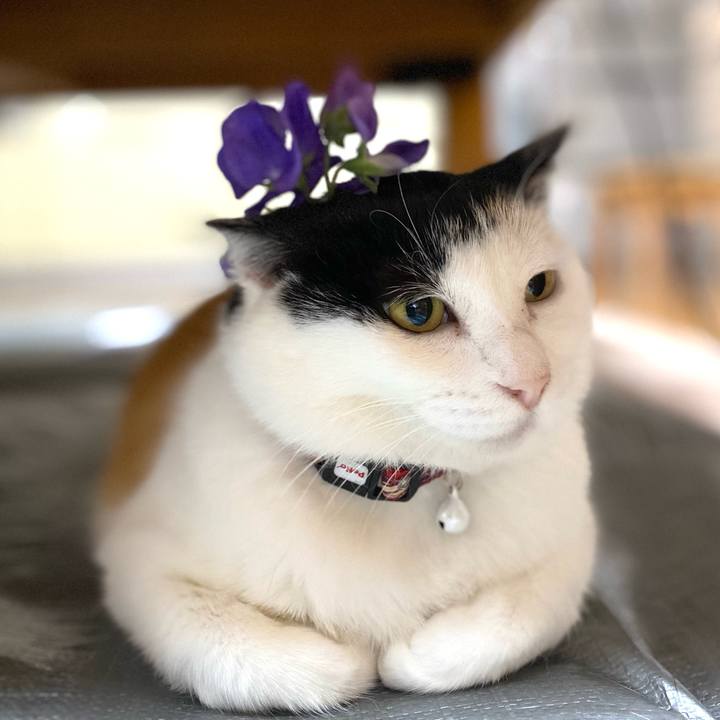 0da8b722 62c4 4f09 ae56 a37327351f42 1653426507693