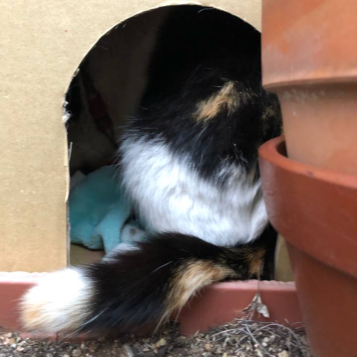 0da904e0 2435 44b7 af30 a7bfd281458e 1607985196734