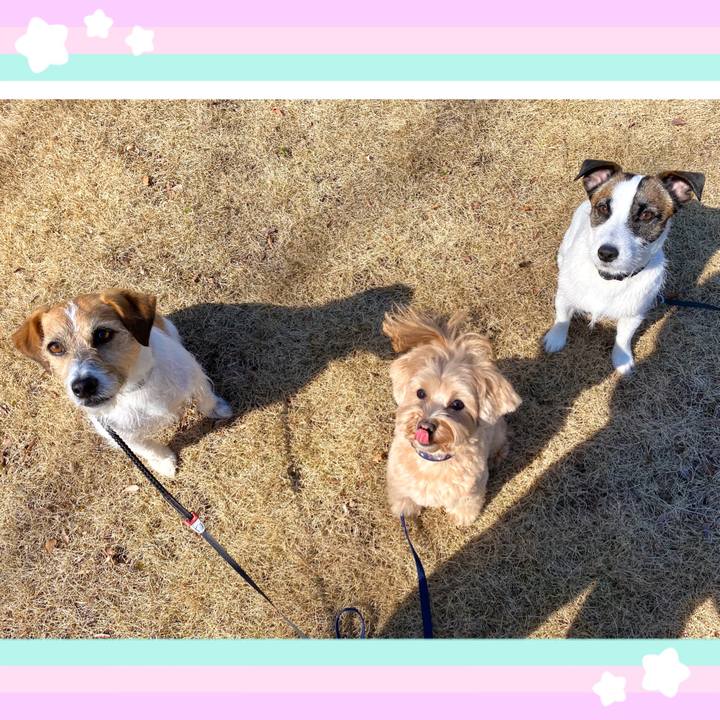 0da90a3a 138e 4c93 b3b0 829f416bbb26 1583240272057